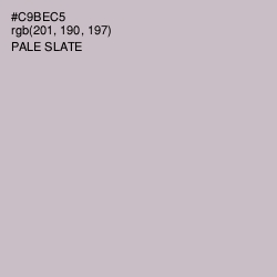 #C9BEC5 - Pale Slate Color Image